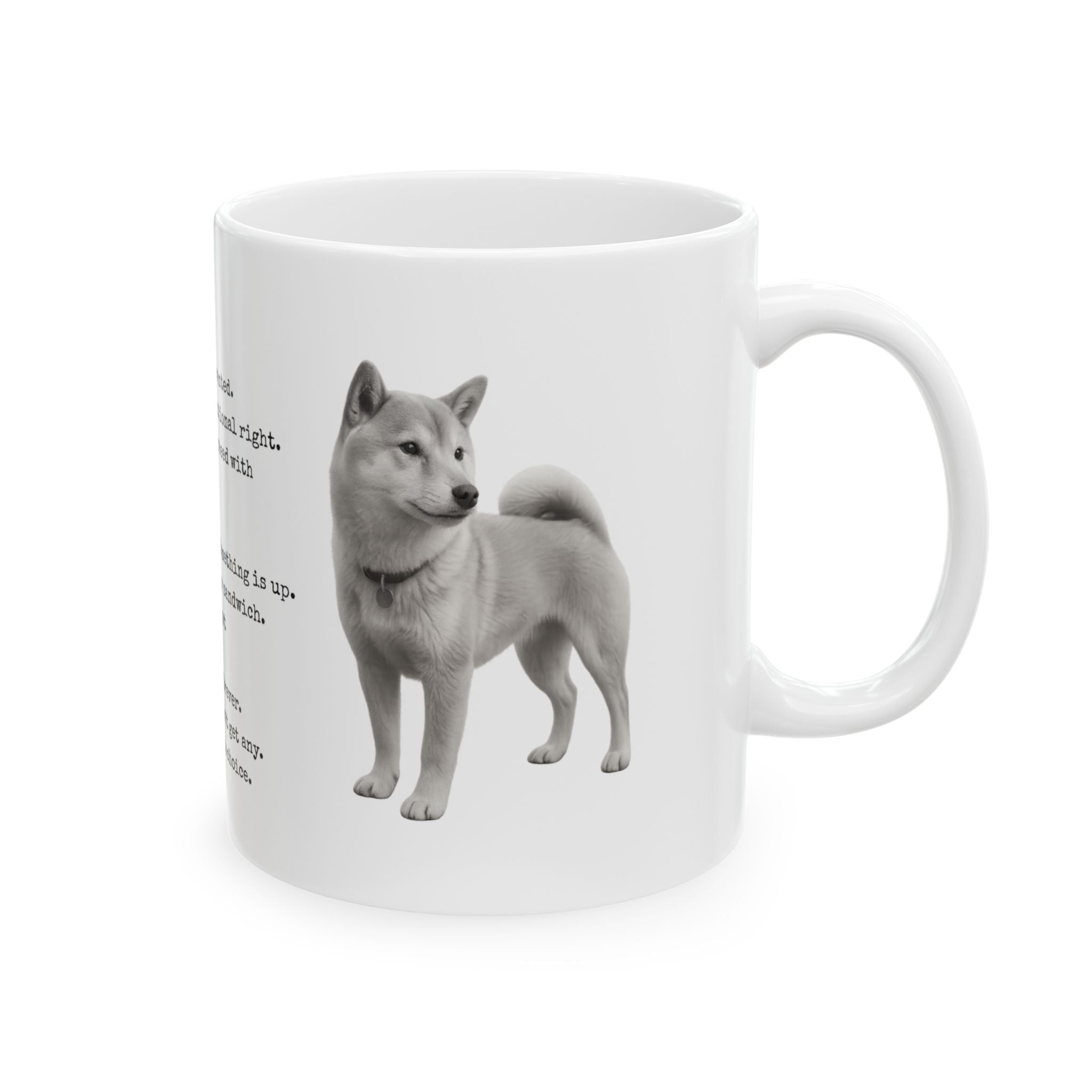 Shiba Inu Owner Rules_1 - Mug (11oz & 15oz)